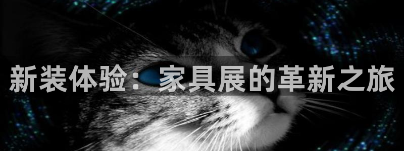龙八国际下载全部收藏pity