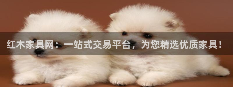 龙八国际官方网