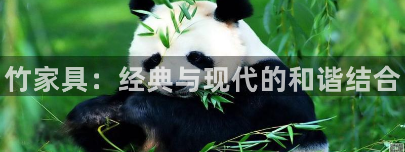 龙八国际娱乐下载