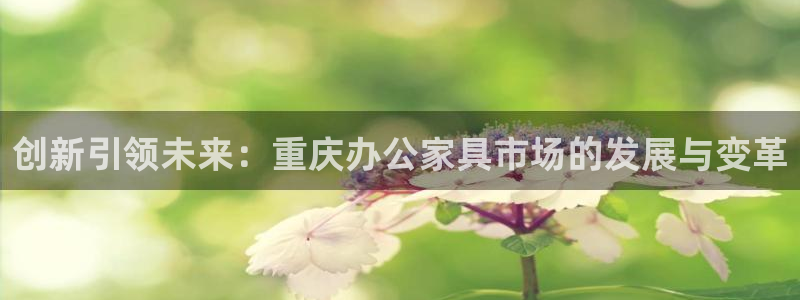 龙八国际服官网入口