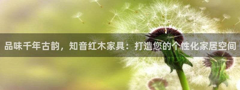 龙八国际
