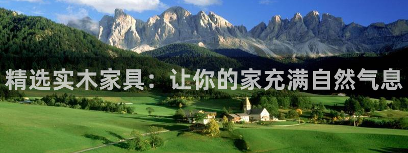 龙八国际安全
