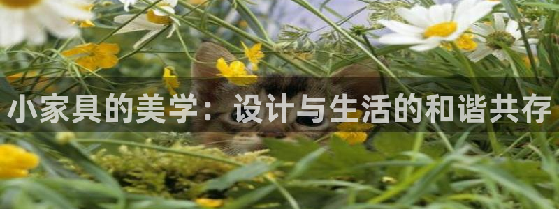 龙八国际手机版首页
