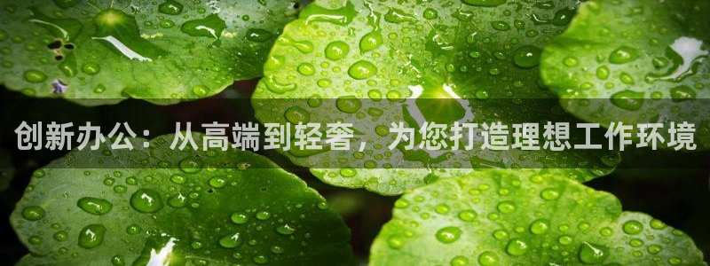 龙八国际头号玩家是谁啊