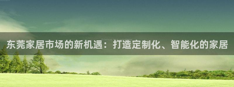 菲律宾的龙八国际