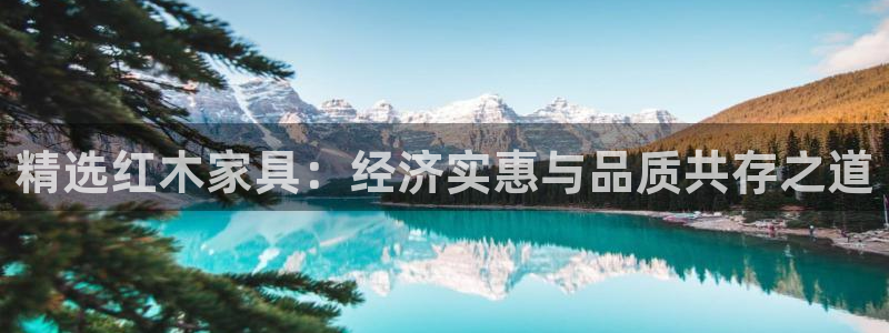 龙八国际手机版下载平台