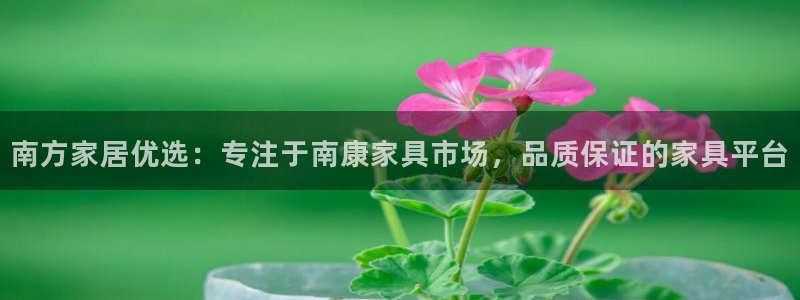 龙八国际pt娱乐