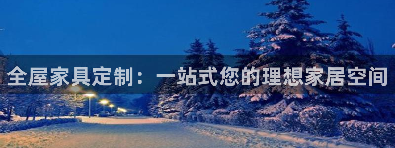 龙八国际官首页