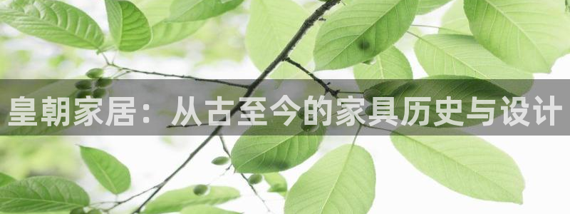 龙八国际官方旗舰店