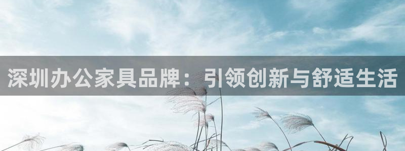 龙八国际官网安卓