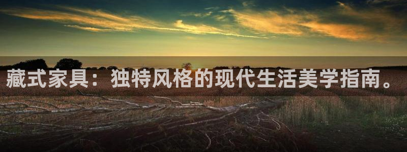 龙八国际地址