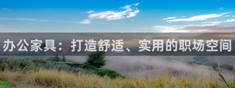 l龙八国际