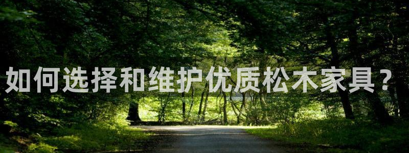 龙八国际官网首页网页版