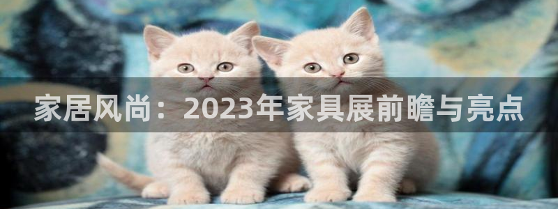 龙八国际娱乐老虎机