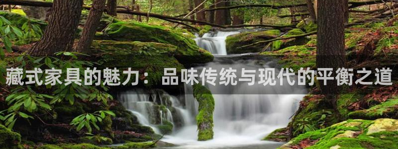 龙八国际苹果下载