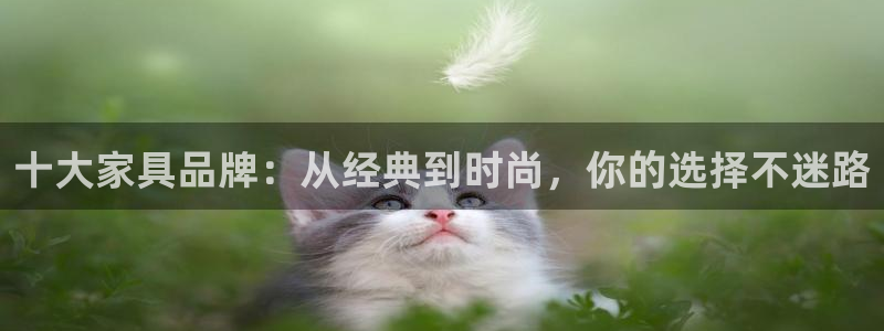 龙八国际电子游戏