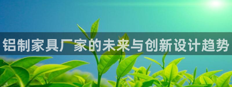 龙八国际管网