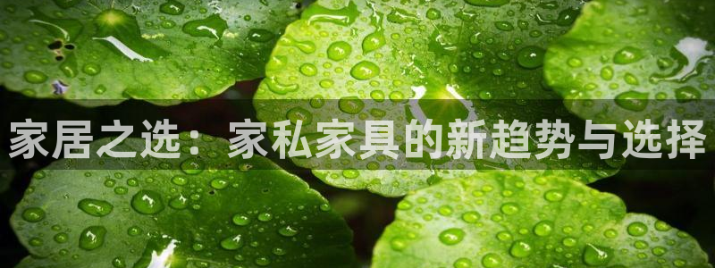 龙八国际pt娱乐老虎机