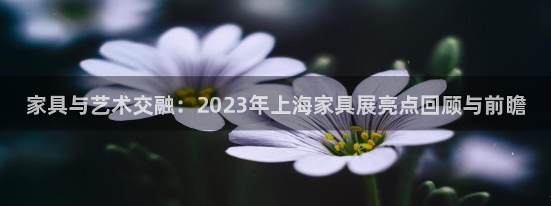 打开龙八国际