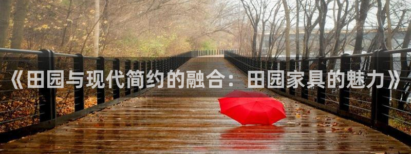龙八国际城客运站电话：《田园与现代简约的融合：田园家具的魅力