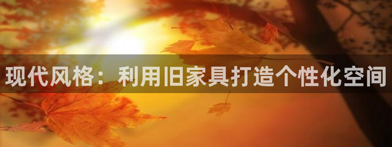项目名称龙八国际