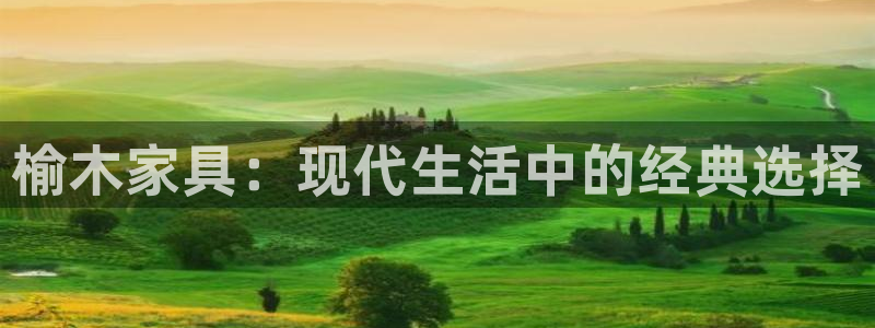 龙八国际游戏登录：榆木家具：现代生活中的经典选择