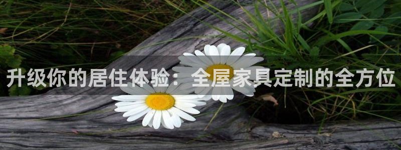 龙八国际网q18点tv：升级你的居住体验：全屋家具定制的全方