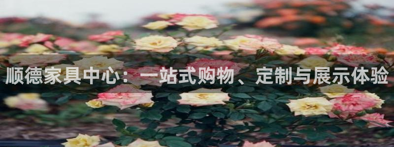 龙八国际服官网