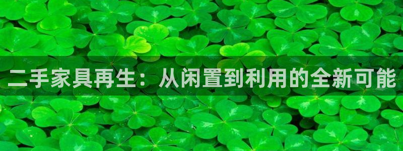 龙八国际娱乐群