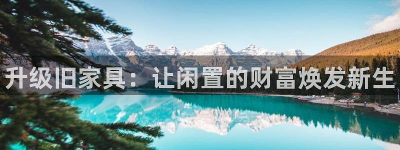 龙八国际mg老虎机