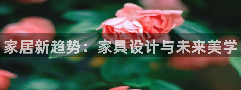 龙八国际手机版入口官网