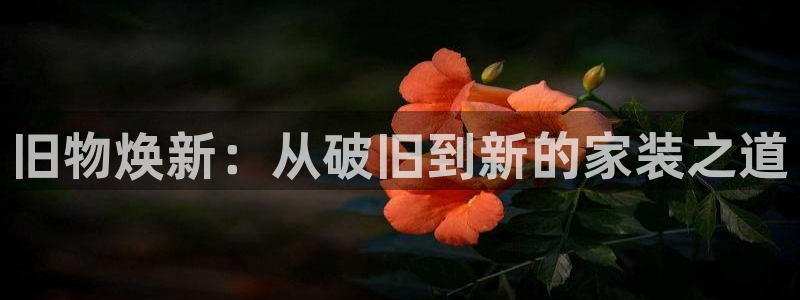 龙八国际手机在线登录