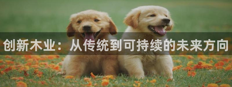 龙八国际手机版登录首页