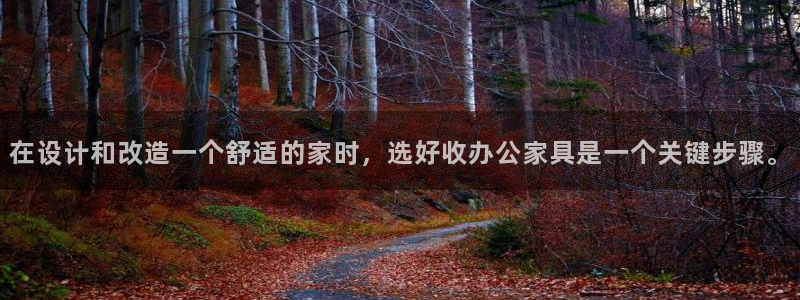 龙八国际 long5658.com