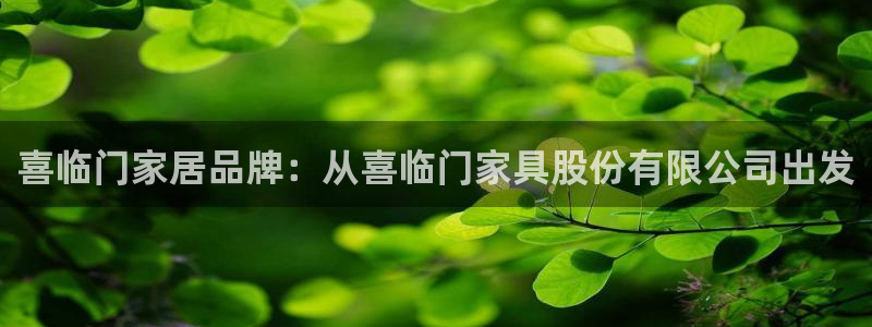 搜索 龙八国际：喜临门家居品牌：从喜临门家具股份有限公司出发