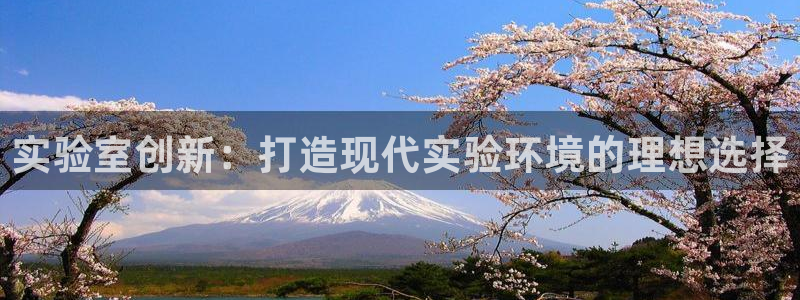 龙八国际官网苹果