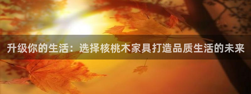 龙八国际娱手机