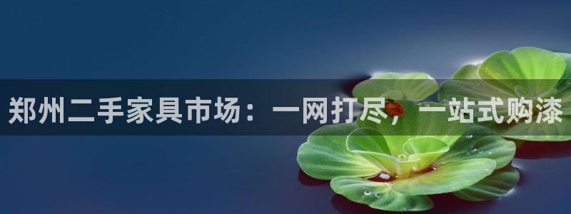 菲律宾的龙八国际：郑州二手家具市场：一网打尽，一站式购漆