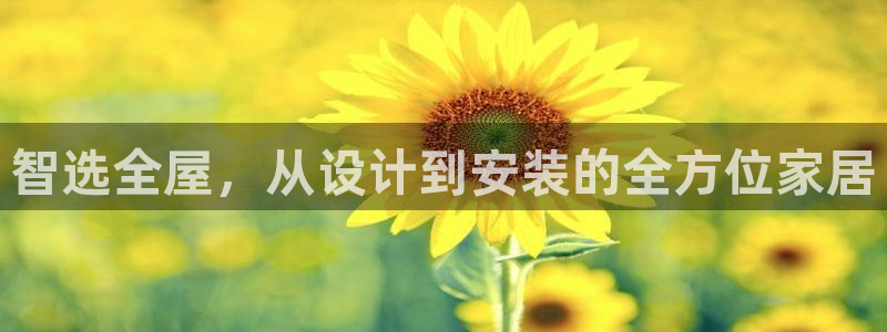 龙八国际平台手机版下载