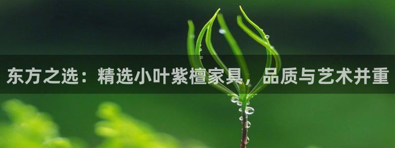 龙八国际娱乐地