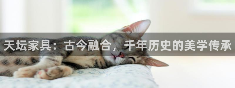 龙八国际代理