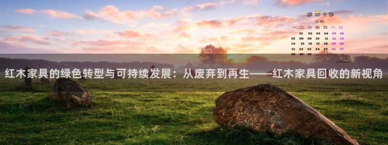 菲律宾的龙八国际