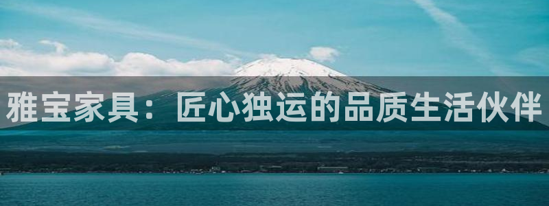 龙八国际华