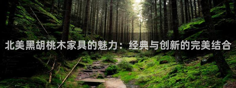 龙八国际app电话