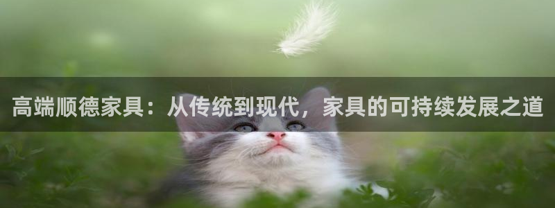 龙八国际唯一官网