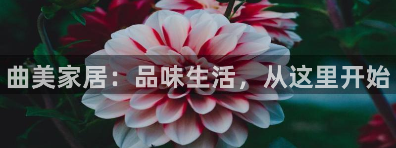 龙八国际手机端官网