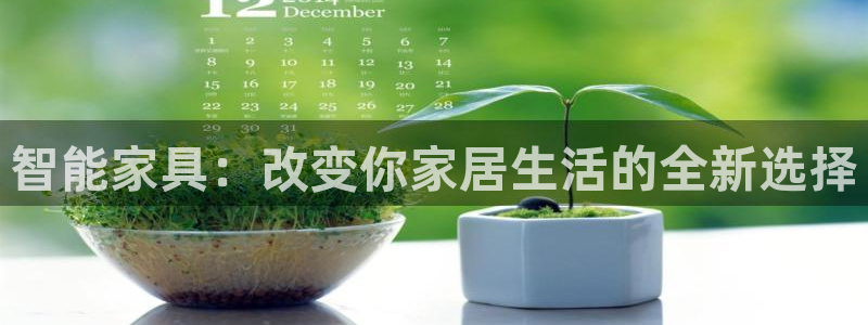 龙八国际城客运站电话