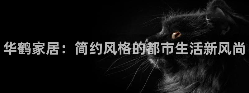 龙八国际官网网址：华鹤家居：简约风格的都市生活新风尚