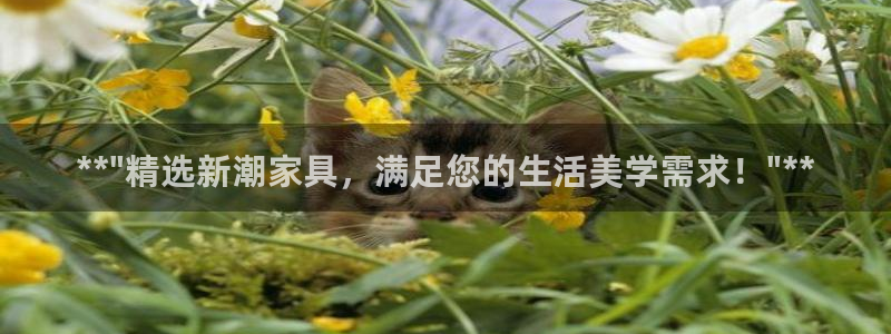 龙八国际官方网站手机版：**\