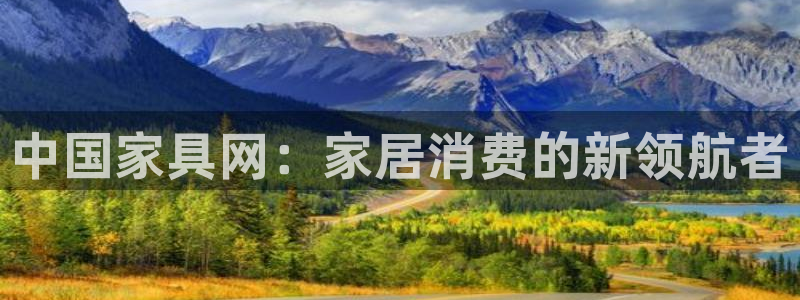 龙八国际娱：中国家具网：家居消费的新领航者